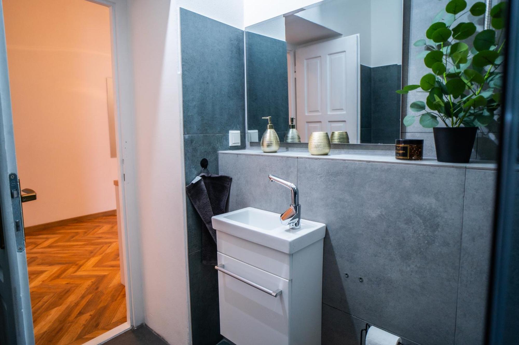 Apartment Luxapart Big 12people